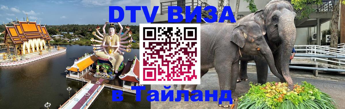 Оформление DTV визы под ключ: стоимость и тарифы, только загранпаспорт - 03.10.2025 